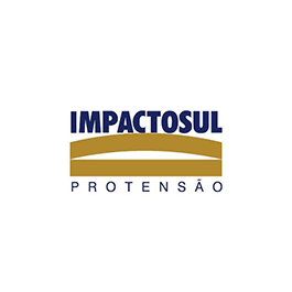 logo-impactosul2