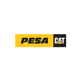 logo-pesa